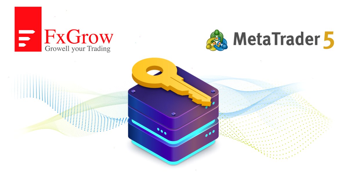 MetaTrader5下载_MT5下载_下载中心入口：FxGrow Limited：\"MetaTrader 5访问服务器主机服务拥有其他提供商无法比拟的优势\"（封面配图）